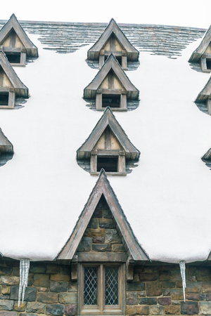 Osaka, Japan - NOV 21, 2016: The Wizarding World of Harry Potter in Universal Studios Japan. Universal Studios Japan is a theme park in Osaka, Japan.のeditorial素材