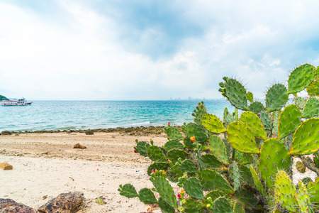 beautiful tropical beach at Koh Larn in Pattaya, Thailand.の写真素材
