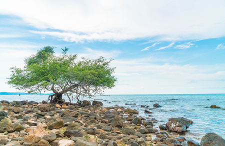 beautiful tropical beach at Koh Larn in Pattaya, Thailand.の写真素材