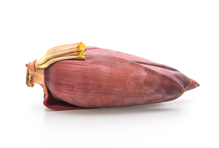 banana blossom isolated on white backgroundの写真素材