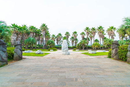 park at Jungmun Daepo Coast Jusangjeolli Cliff, Jeju Island, South Koreaのeditorial素材