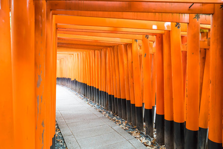 the red torii gates walkway at fushimi inari taisha shrine in Kyoto, Japanのeditorial素材