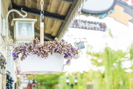 hanging flower pot - vintage filterの写真素材