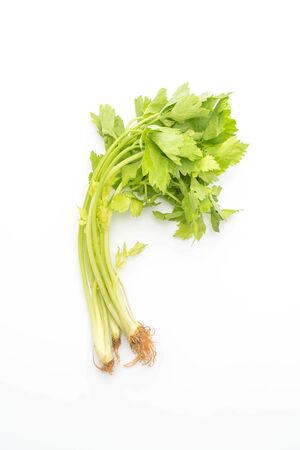 fresh celery isolated on white backgroundの写真素材