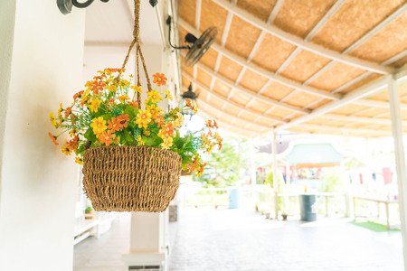 hanging flower pot decoration on wallの写真素材