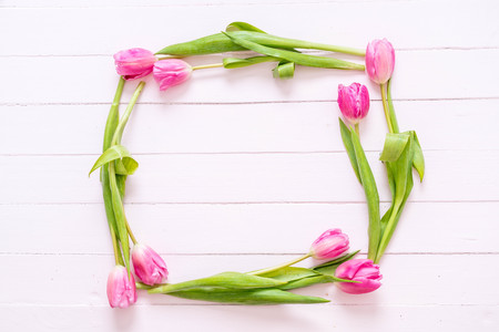 pink tulip flower on wood background with copy spaceの写真素材