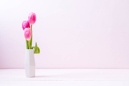 pink tulip flower on wood background with copy spaceの写真素材