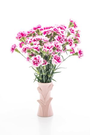 pink spring flower isolated on white backgroundの写真素材