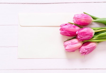 pink tulip flower on wood background with copy space