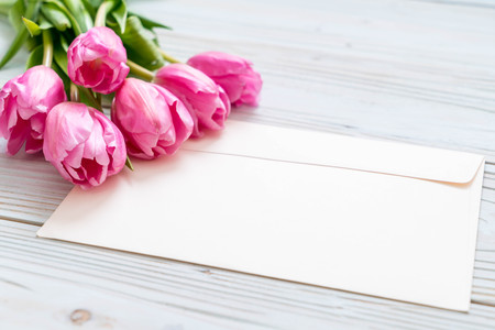pink tulip flower on wood background with copy spaceの写真素材