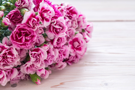 pink spring flower on wooden background with copy spaceの写真素材