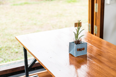 plant in pot decoration on dinning table