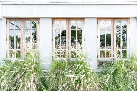 window pattern with grass flower - vintage filterの写真素材
