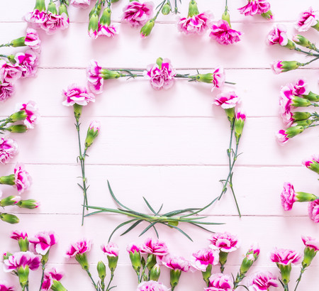 pink spring flower on wooden background with copy spaceの写真素材