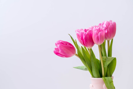 pink tulip flower on wood background with copy spaceの写真素材