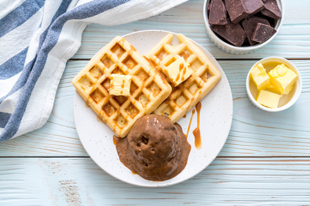 chocolate ice-cream with waffle and caramel sauceの写真素材