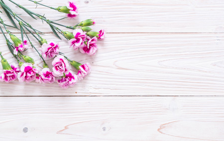 pink spring flower on wooden background with copy spaceの写真素材