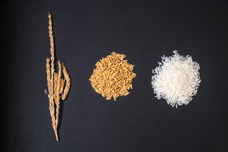 white raw Thai jasmine riceの写真素材