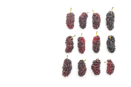 fresh mulberry isolated on white backgroundの写真素材