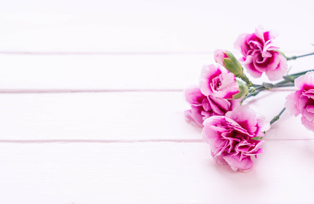 pink spring flower on wooden background with copy spaceの写真素材