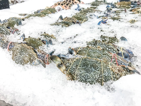 fresh blue crab on shelf in marketの写真素材