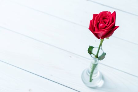 red rose on wood backgroundの写真素材