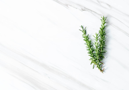 fresh rosemary on marble background