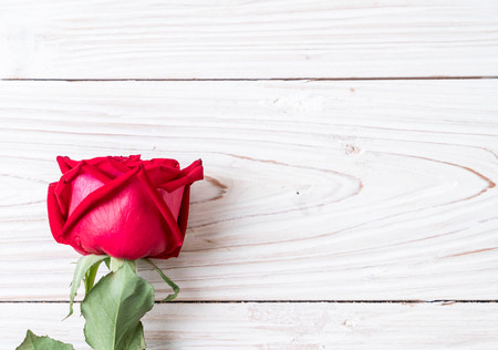 red rose on wood backgroundの写真素材