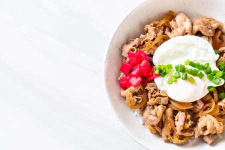 pork rice bowl with egg (Donburi) - japanese food styleの写真素材