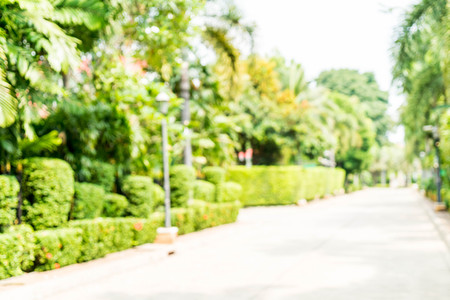abstract blur walkway with tree for backgroundの写真素材