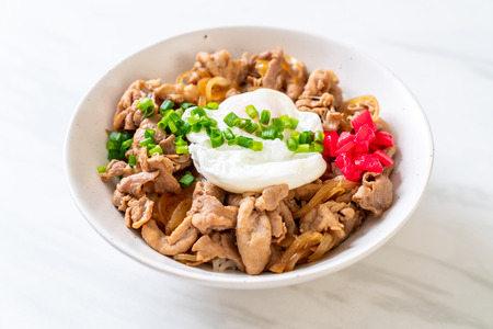 pork rice bowl with egg (Donburi) - japanese food styleの写真素材