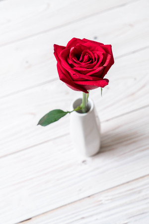 red rose on wood backgroundの写真素材