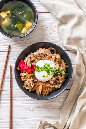 pork rice bowl with egg (Donburi) - japanese food styleの写真素材