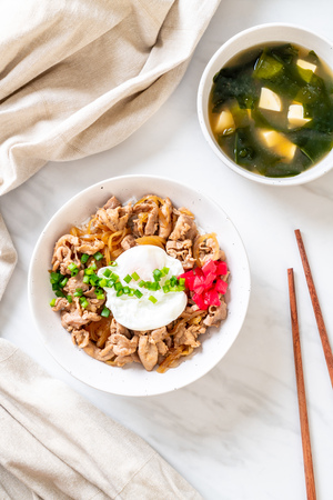 pork rice bowl with egg (Donburi) - japanese food styleの写真素材
