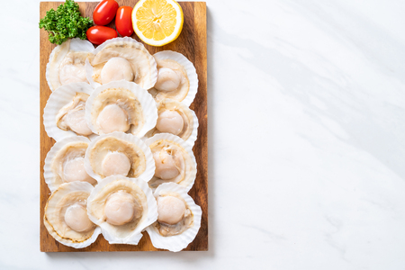 fresh shell scallop on wood boardの写真素材