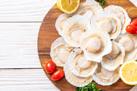 fresh shell scallop on wood board