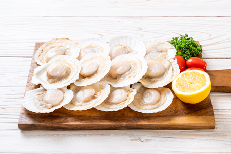 fresh shell scallop on wood boardの写真素材