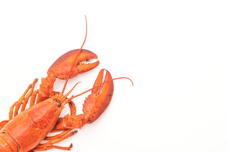 cooked lobster isolated on white backgroundの写真素材