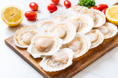 fresh shell scallop on wood boardの写真素材