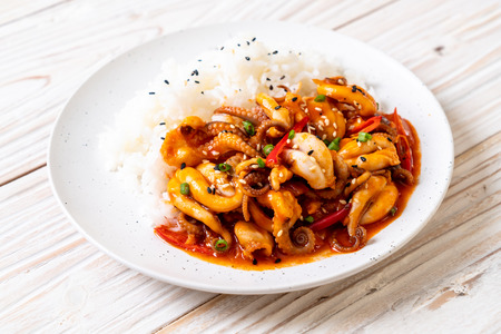 stir-fried octopus or squid and Korean spicy paste (osam bulgogi) with rice - Korean food styleの写真素材