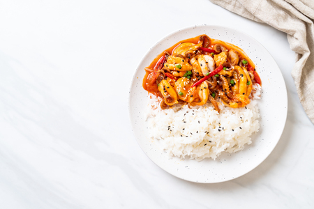 stir-fried octopus or squid and Korean spicy paste (osam bulgogi) with rice - Korean food styleの写真素材