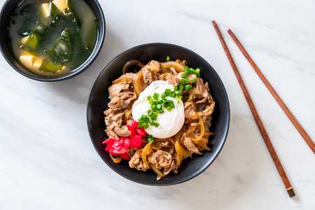 pork rice bowl with egg (Donburi) - japanese food styleの写真素材