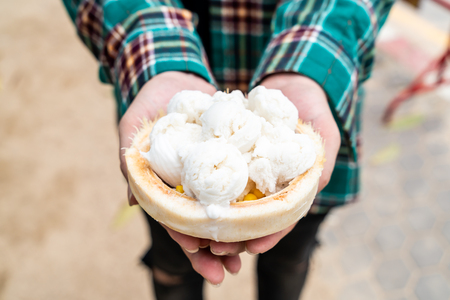 Coconut ice cream in the coconut shellの写真素材