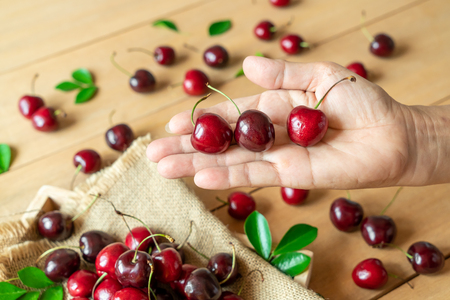 Fresh cherries on hand with wood backgroundの写真素材