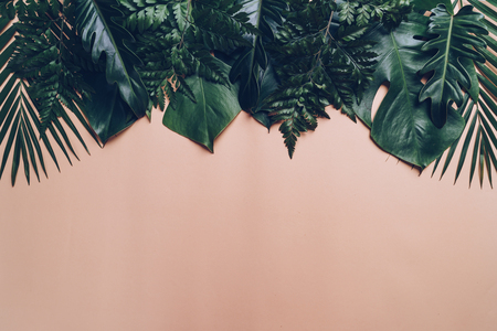 Tropical palm leaves on color background with copy spaceの写真素材