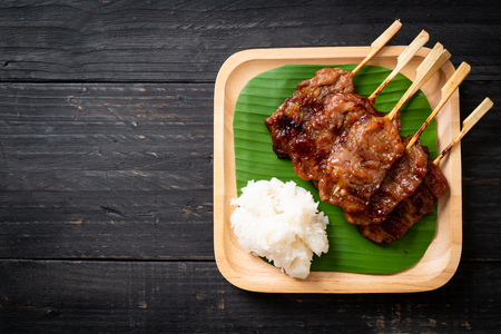 grilled skewered milk pork with white sticky rice - local Thai street food styleの写真素材