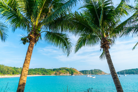 Beautiful tropical beach and sea with coconut palm tree in paradise island - Holiday Vacation conceptの写真素材