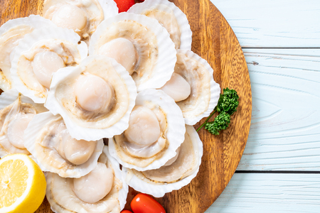 fresh shell scallop on wood boardの写真素材