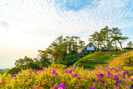 Beautiful sunrise sky with garden on mountain at Huai Nam Dang National Park, Thailandの写真素材