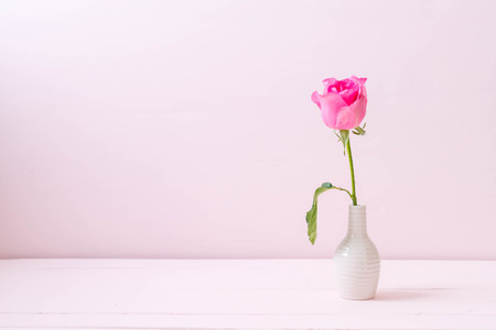 pink rose in vase on wood background with copy spaceの写真素材